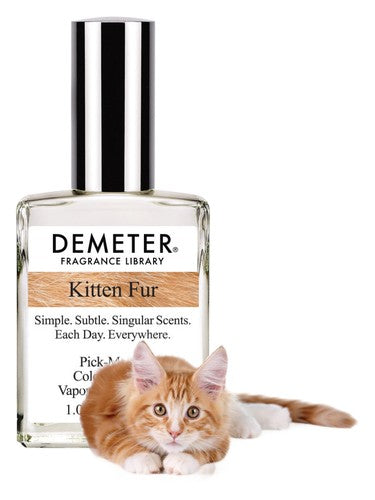 KITTEN