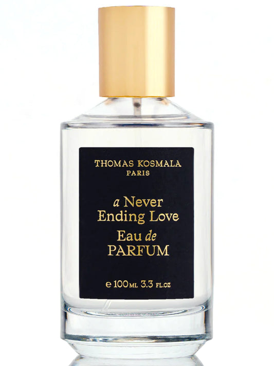 Everlasting Love  (TK Never Ending Love )